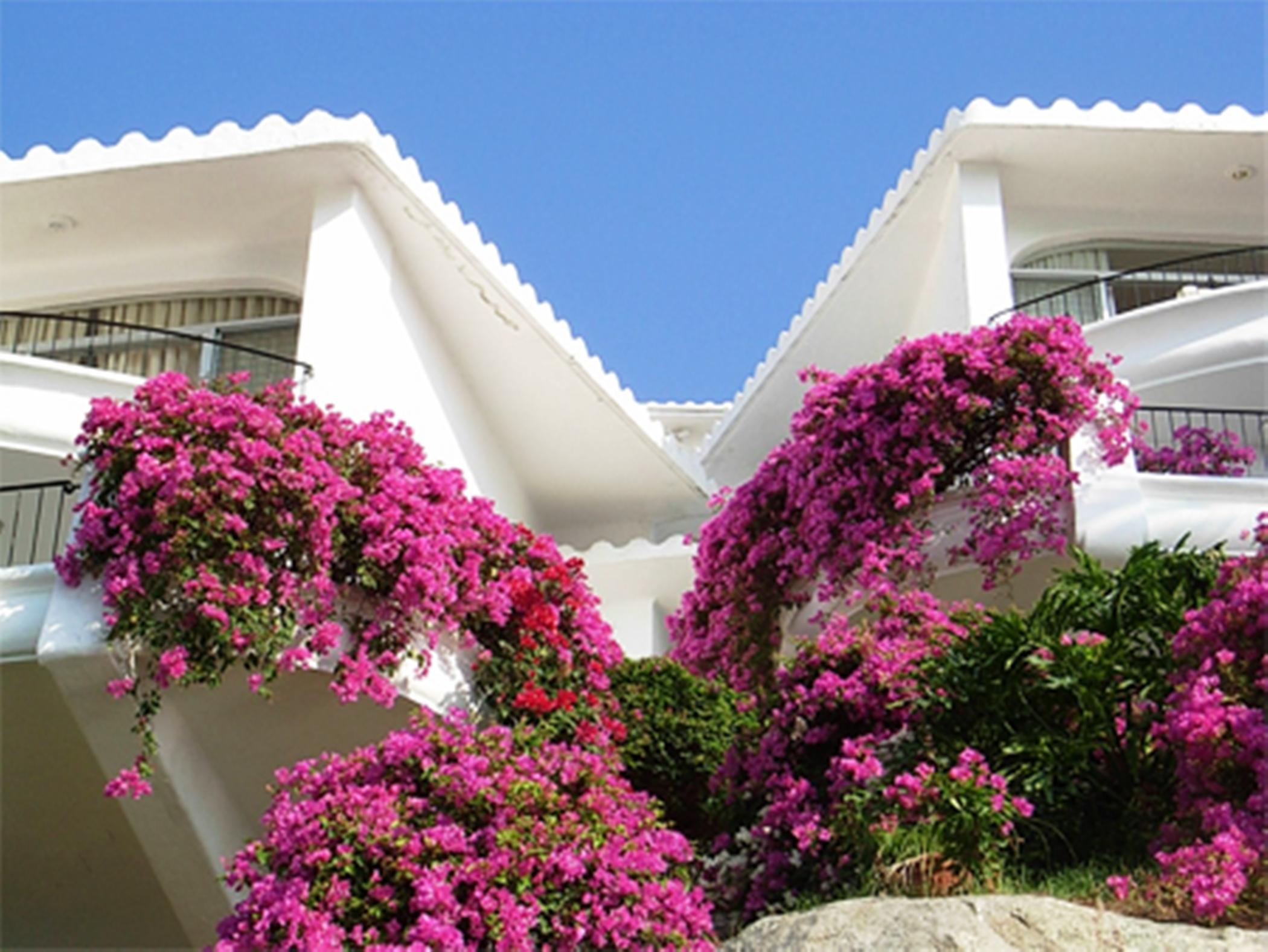 מנסניו Dolphin Cove Inn מראה חיצוני תמונה