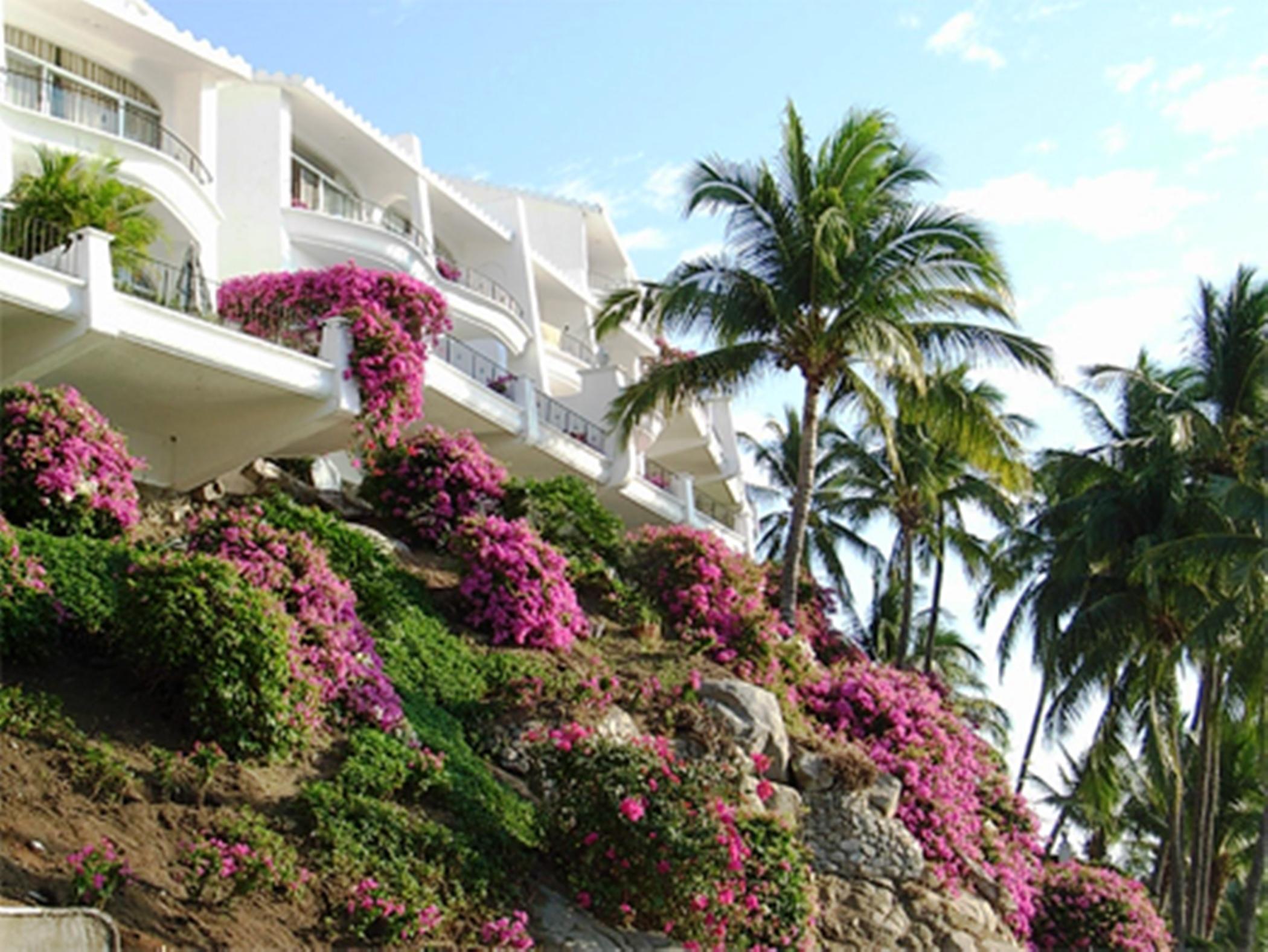 מנסניו Dolphin Cove Inn מראה חיצוני תמונה